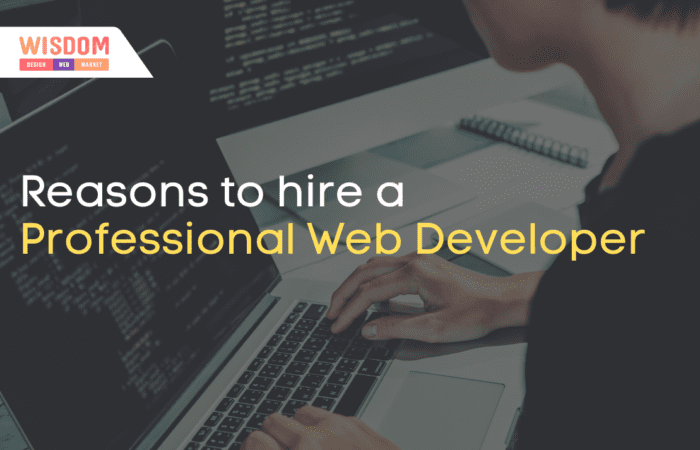 Why Hire a Professional Web Developer for your Online Business? 10 Reasons to hire a Professional Web Developer