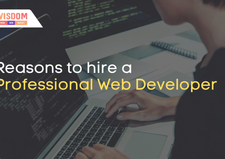 Reasons to hire a Professional Web Developer