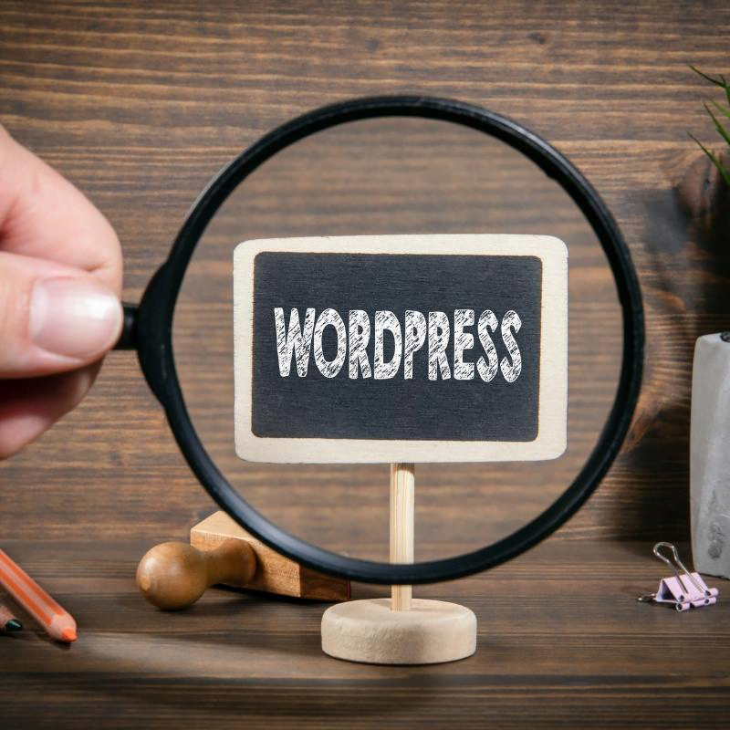 Hand holding a magnifying glass over a WordPress sign.