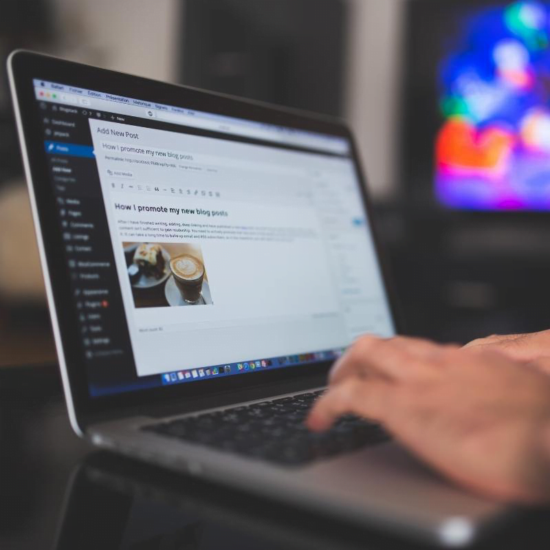 WordPress website 2 wordpress website design