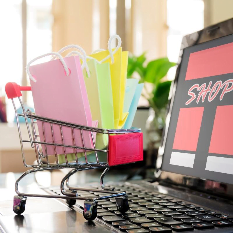 Web Development 3 ecommerce web development