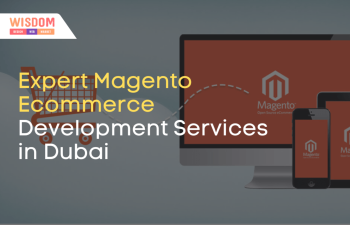 Expert Magento Ecommerce Development Services in Dubai