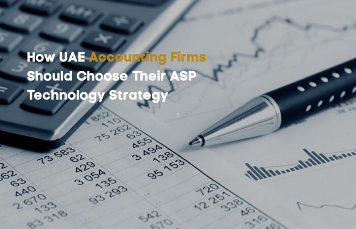 build vs buy e-invoicing UAE ASP